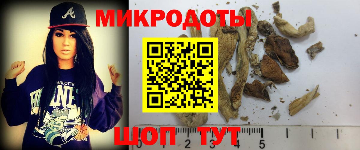 Галлюциногенные грибы Psilocybine cubensis  Вход с VPN  как найти наркотики  Магадан  Псилоцибиновые грибы ЛСД 